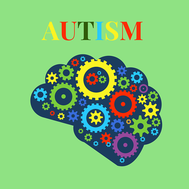 Autism assessment diagnosis Manor Lakes